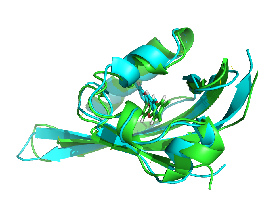 tcdd-old-mdnew
